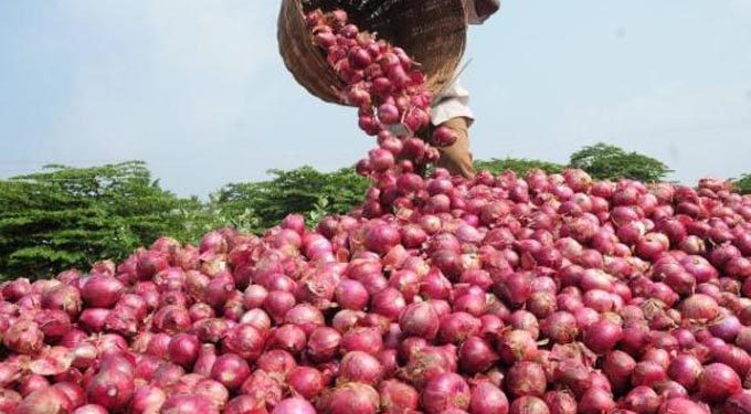 பாகிஸ்தானில் இருந்து பெரிய வெங்காயம் இறக்குமதி!