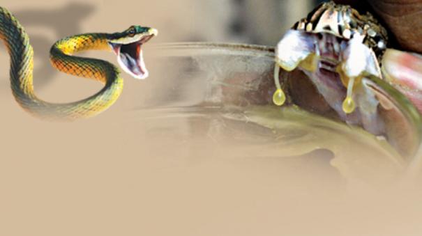 அச்சுவேலி இளைஞன் பாம்பு கடிக்கு இலக்காகி மரணம்!